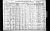 1910 Census
Mina, Polk County, Arkansas
Pearlie America James